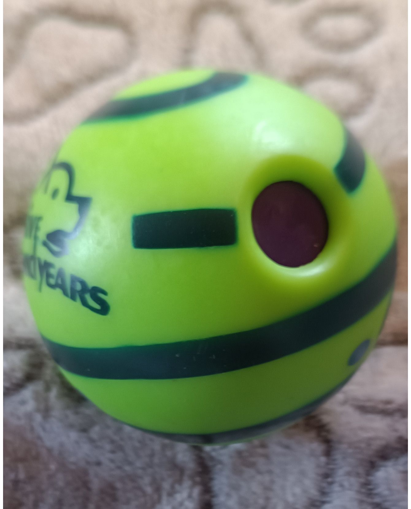 balles pour chien Super Ball Five Mutli-marques 9,00 € balles pour chien Super Ball Five Mutli-marques 9,00 €