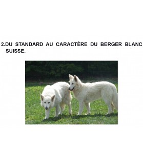 Livre sur le Berger blanc suisse 30 années au côté du berger blanc suisse - Maryline Vigne ChezAnilou 49,00 €