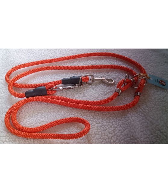 Longe rétractable 4 points Orange pour chien