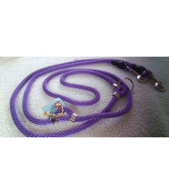 laisses de travail rondes Longe 4 points ronde Violet ChezAnilou 27,00 €