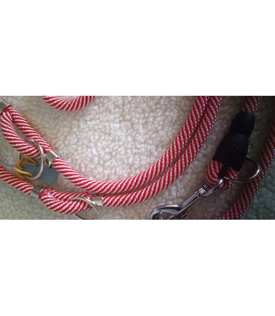 laisses de travail rondes Laisse de travail 4 points RED pour chien ChezAnilou 27,00 €