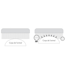 copy of Demeloir 25 dents