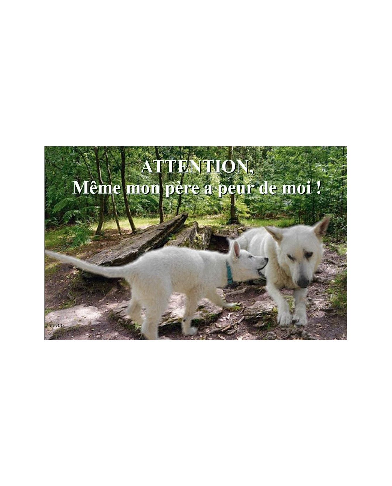 Berger blanc suisse Pancarte chien de garde 3PB Chez Anilou 15,00 €