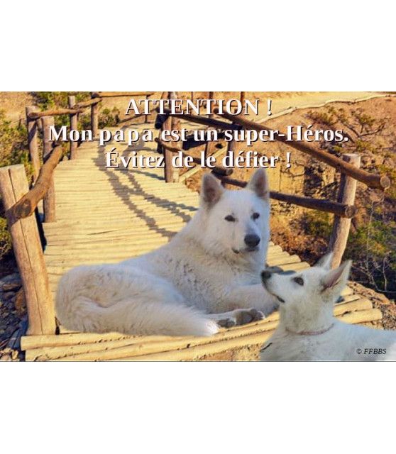 Pancartes Berger blanc suisse Pancarte chien de garde berger blanc suisse - 4PB ChezAnilou 15,00 €