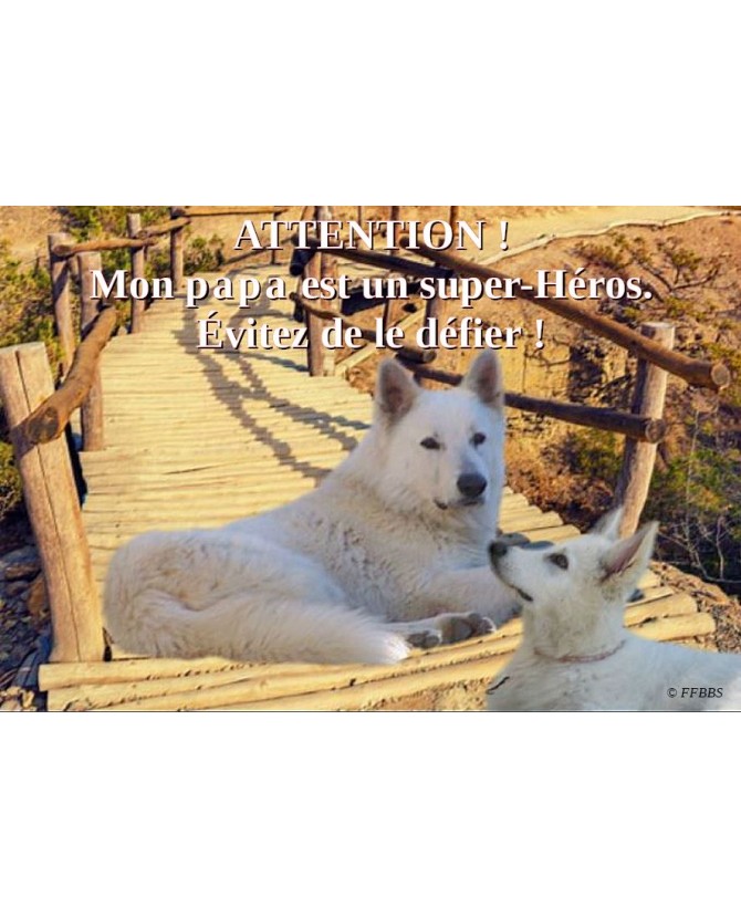 Berger blanc suisse Pancarte chien de garde 4PB Chez Anilou 15,00 €