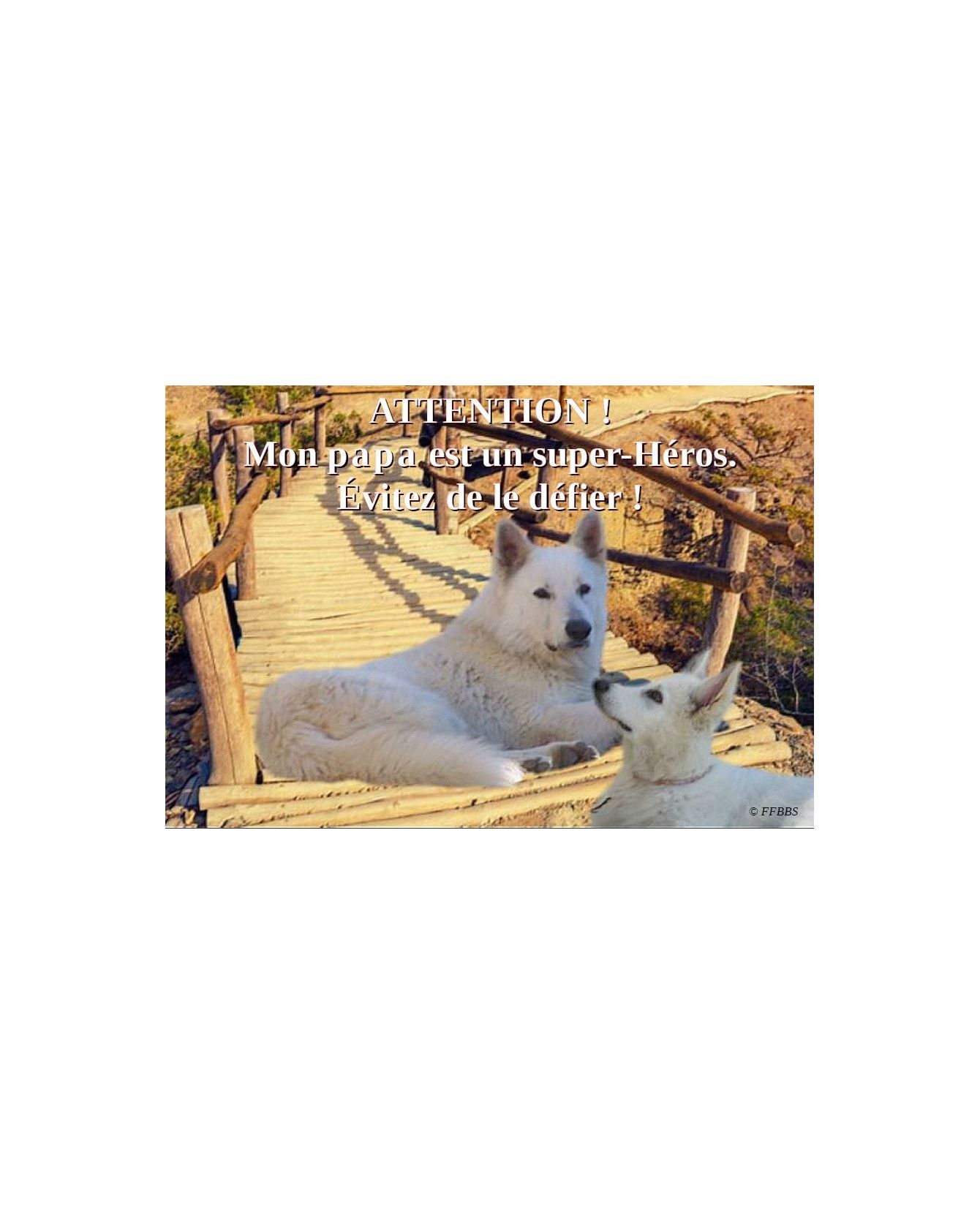 Pancartes Berger blanc suisse Pancarte chien de garde berger blanc suisse - 4PB ChezAnilou 15,00 €