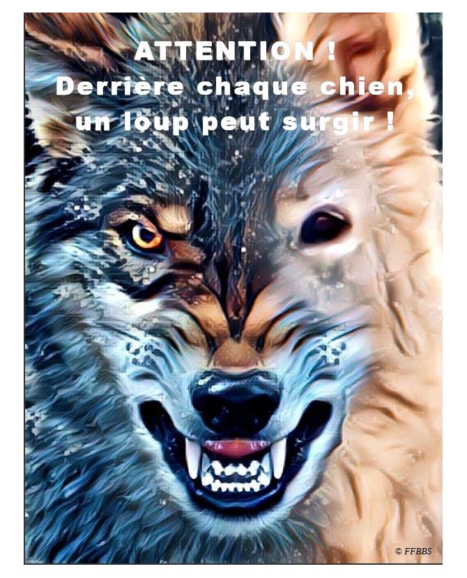 Berger blanc suisse Pancarte chien de garde 5PB Chez Anilou 15,00 €