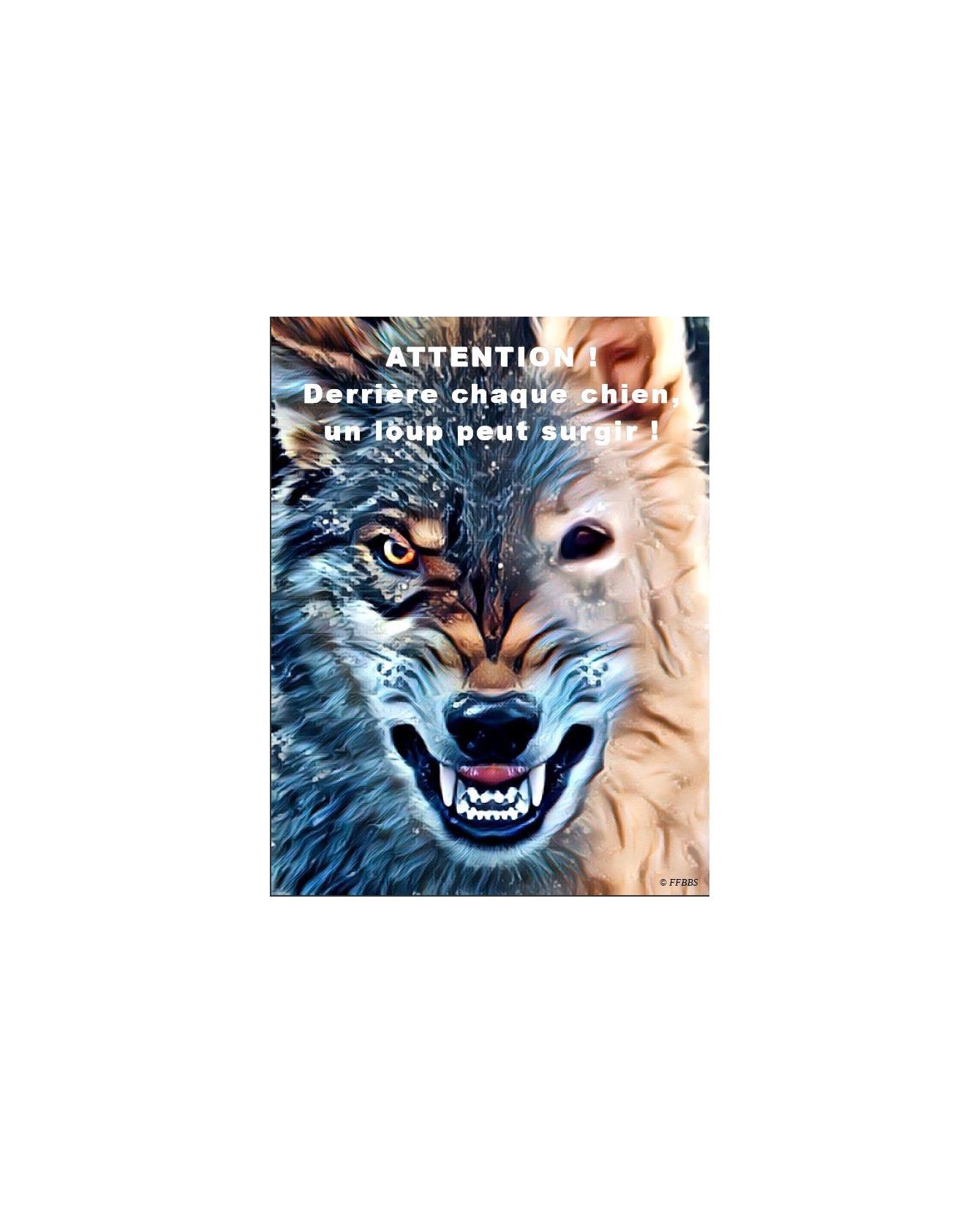 Pancartes Berger blanc suisse Pancarte chien de garde 5PB ChezAnilou 15,00 €