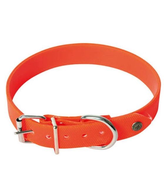 Colliers chien de chasse Collier chien de chasse fluorescent Marquage gratuit ChezAnilou 9,00 €