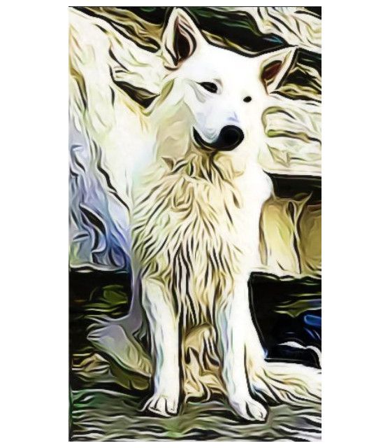 Tableaux berger blanc suisse Peinture sur le thème du berger blanc suisse ChezAnilou 15,00 €