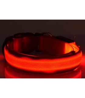 Colliers LED Collier chien Led rouge  9,00 €