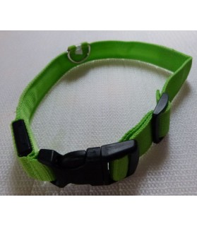 Colliers LED Collier chien Led vert  11,00 €