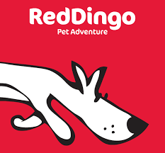 REDdingo